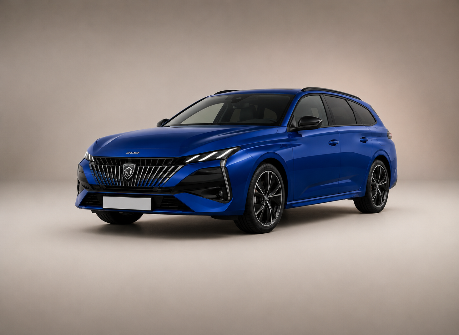 PEUGEOT 308 SW OU SIMILAR (G)